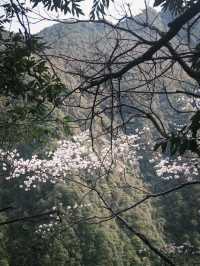 衢州藥王山：寶藏行山聖地，超詳細遊玩攻略來啦