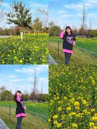 交換春天·魔都隱藏莫奈花園被我找到了