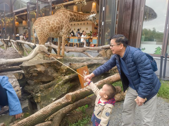 湖州長頸鹿莊園：和寶貝共赴一場長頸鹿早餐奇遇
