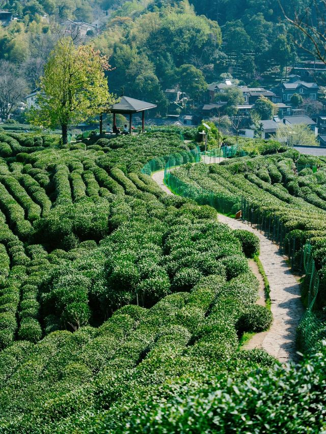 清明喺杭州行山嘅新發現！邂逅隱藏喺城市入面嘅綠野仙蹤