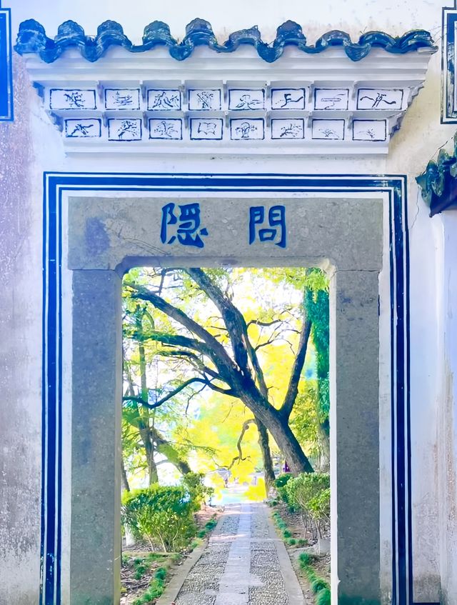 浙江桐廬|4-5月封神！人少景美寶藏地！