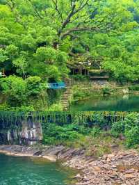 山前山後都是風景，有風無風都很自由——馬嶺古道