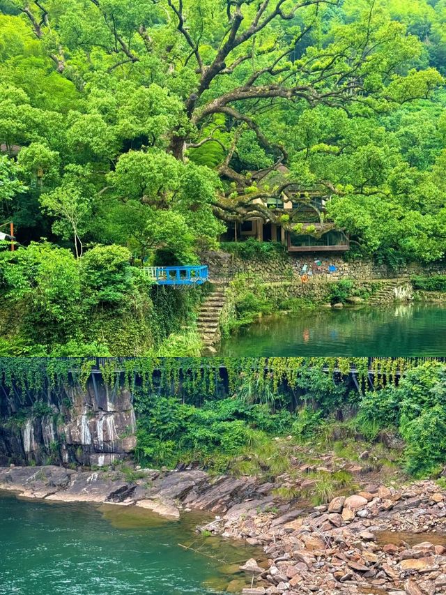 山前山後都是風景，有風無風都很自由——馬嶺古道