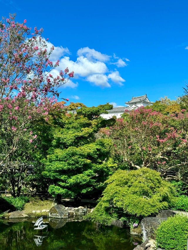 大阪周邊寶藏小眾園林！好古園探秘🎐