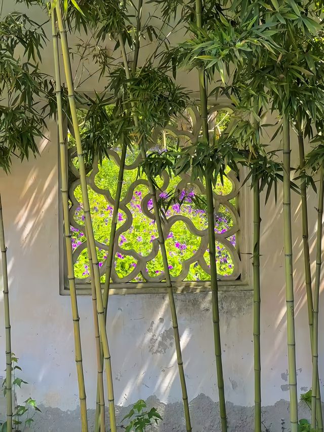 太喜歡蘇州的春天了