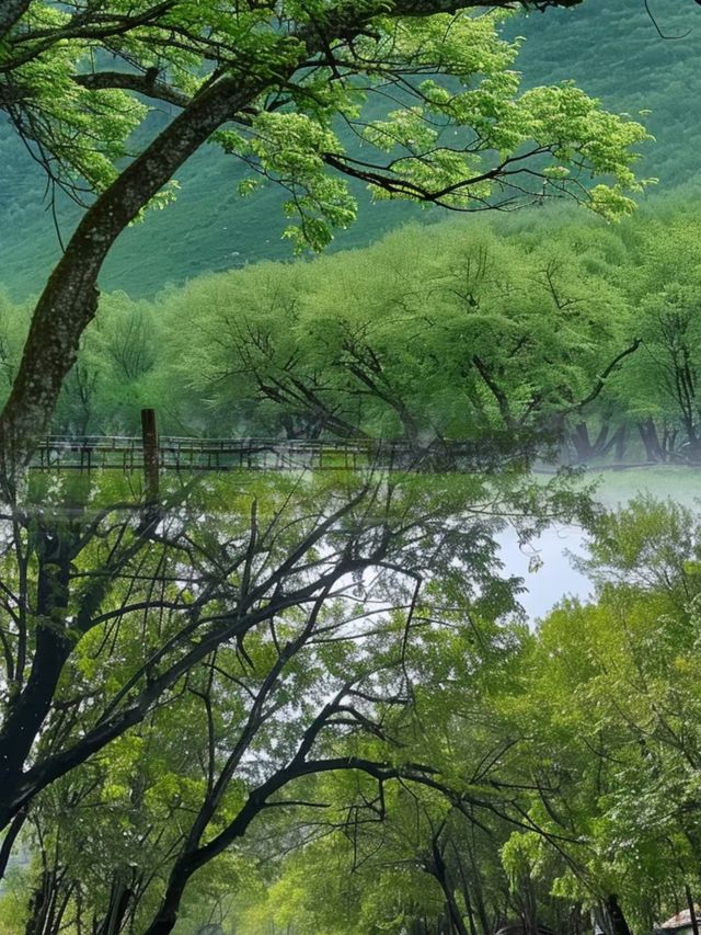 西溪南古村落，一個詩情畫意嘅地方。