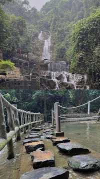 鼎湖山寶鼎園，有「球」必應。
