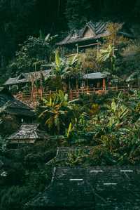 雲南普洱景邁山原來電影拍攝場地都在這！