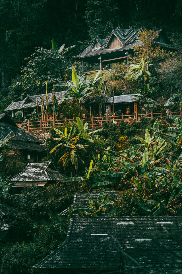 雲南普洱景邁山原來電影拍攝場地都在這！