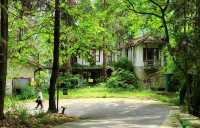 奇峰入畫‧雲海滌心：張家界國家森林公園的仙俠秘境之旅