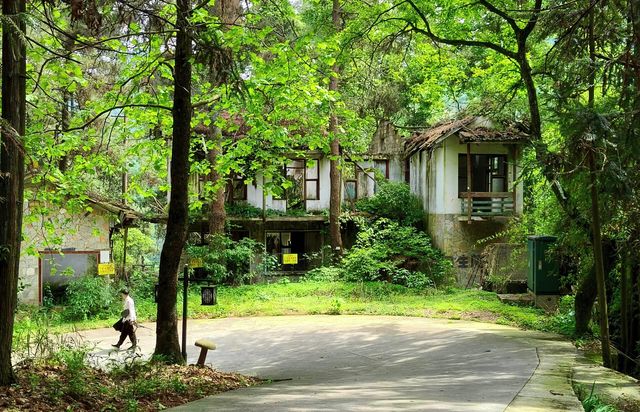 奇峰入畫‧雲海滌心：張家界國家森林公園的仙俠秘境之旅