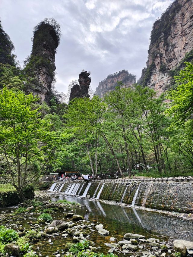 奇峰入畫‧雲海滌心：張家界國家森林公園的仙俠秘境之旅
