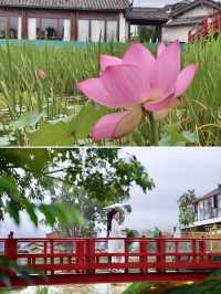 普者黑秘境，躺看雲捲雲舒
