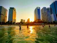 峴港浪漫之選|Rosamia Da Nang Hotel   酒店：Rosamia Da Nan