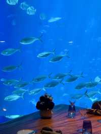 深海奇遇，奇妙世界：S.E.A.海洋館之旅》