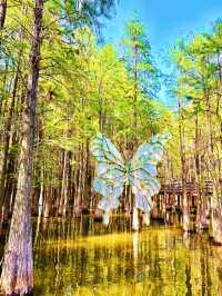 青山湖 | 邂逅城市中的詩意水鄉，開啟靜謐湖居之旅