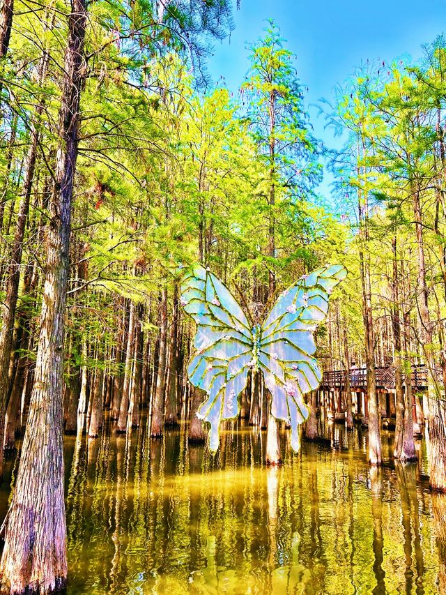 青山湖 | 邂逅城市中的詩意水鄉，開啟靜謐湖居之旅
