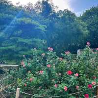 🌿【雲台花園｜廣州的“小歐洲”】🌿