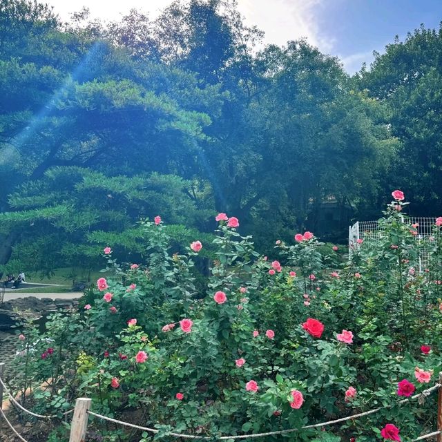 🌿【雲台花園｜廣州的“小歐洲”】🌿