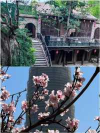 鄭州遊玩已回 跟著走不踩雷