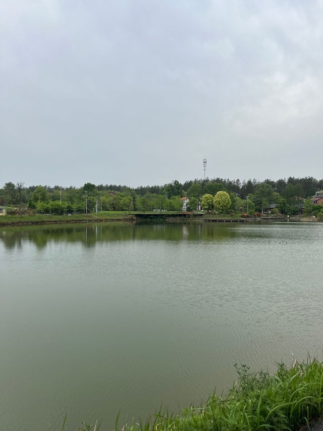 武漢家庭週末遊｜江夏海洋村不吹不黑真實反饋