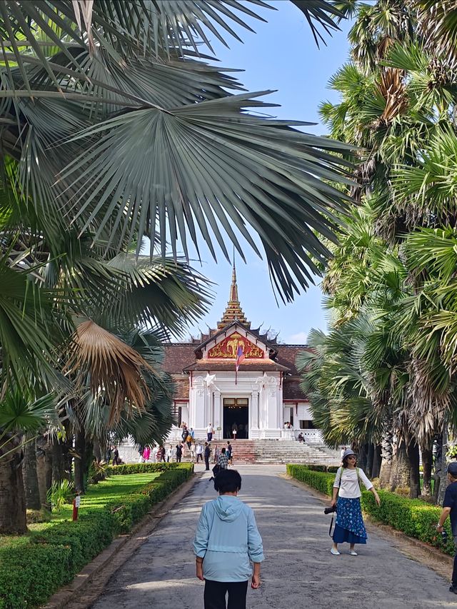 與佛光同塵的慢旅行，與晨霧交織的朝聖
