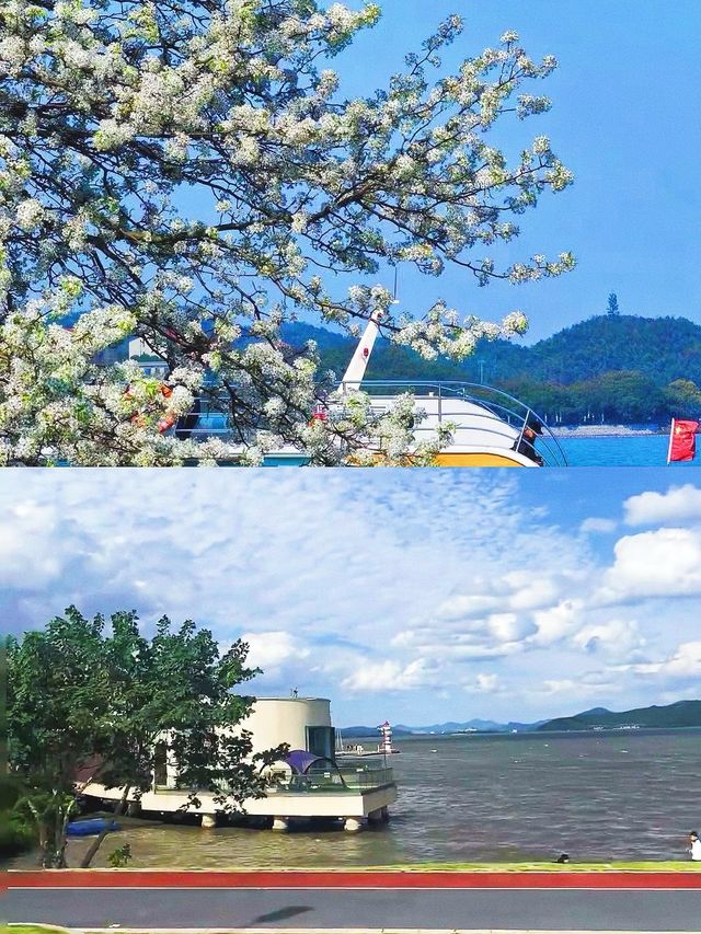 逃離杭州，去最近的城市48小時，海鮮與古韻全拿下
