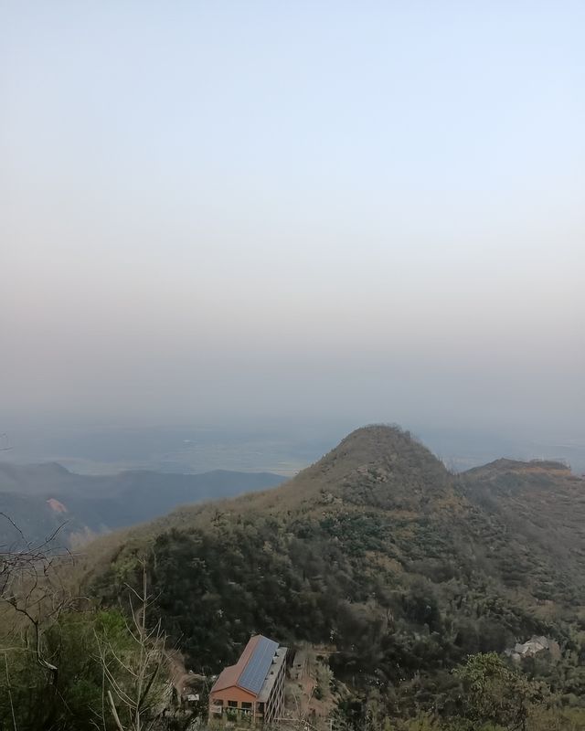 學習益陽獨特的茶文化