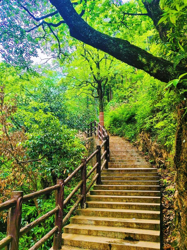 萬佛湖風景區 | 邂逅湖光山色，美到心醉