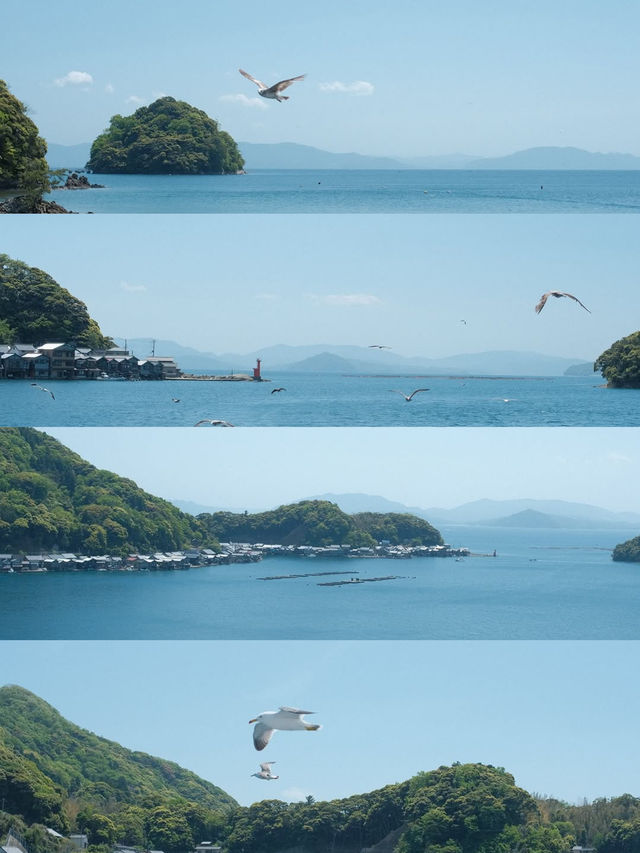 京都小眾天橋立一日遊攻略，打卡關西秘境