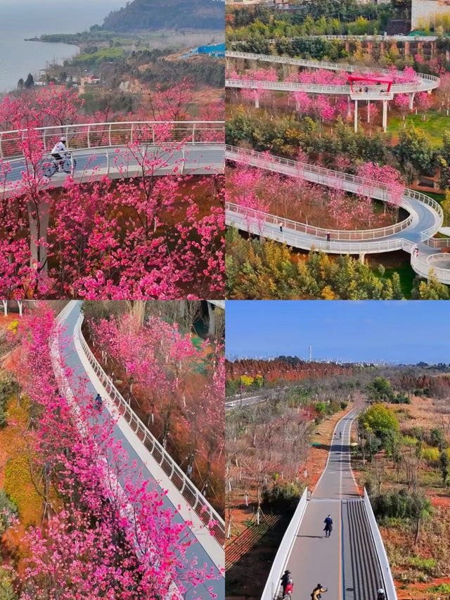 滇池邊風景