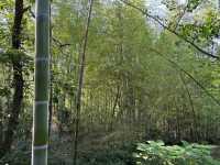 西山島私藏徒步路線｜闖入綠野仙蹤嘅治癒週末