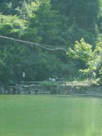逃離城市！夏天去呢度露營，仲爽過喺冷氣房
