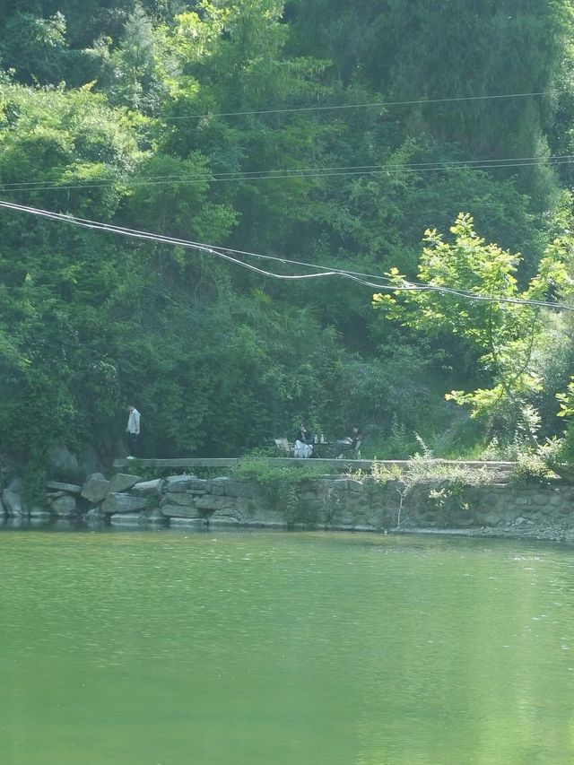 逃離城市！夏天去呢度露營，仲爽過喺冷氣房
