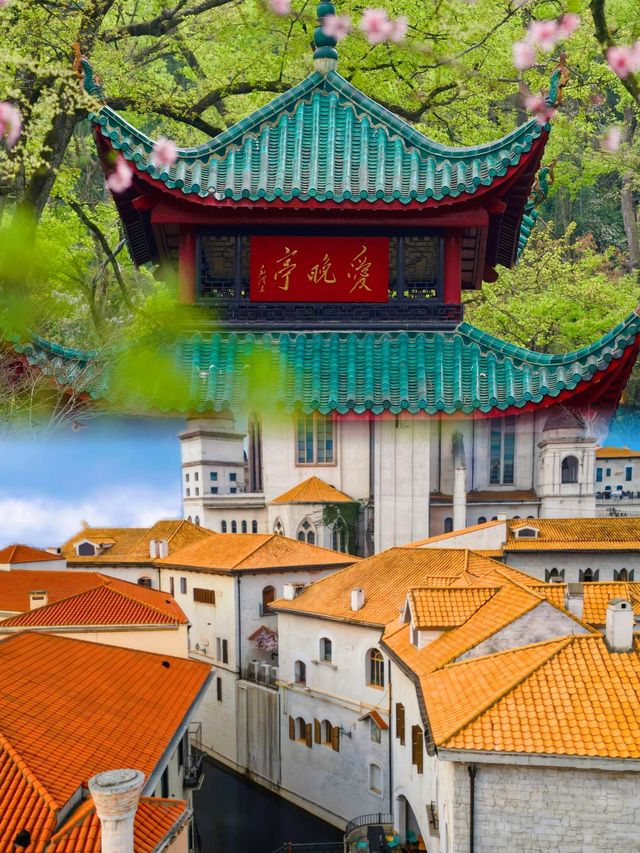 往返長沙22次，強烈推薦這座誠市