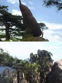 黃山好靚，但唔會再去