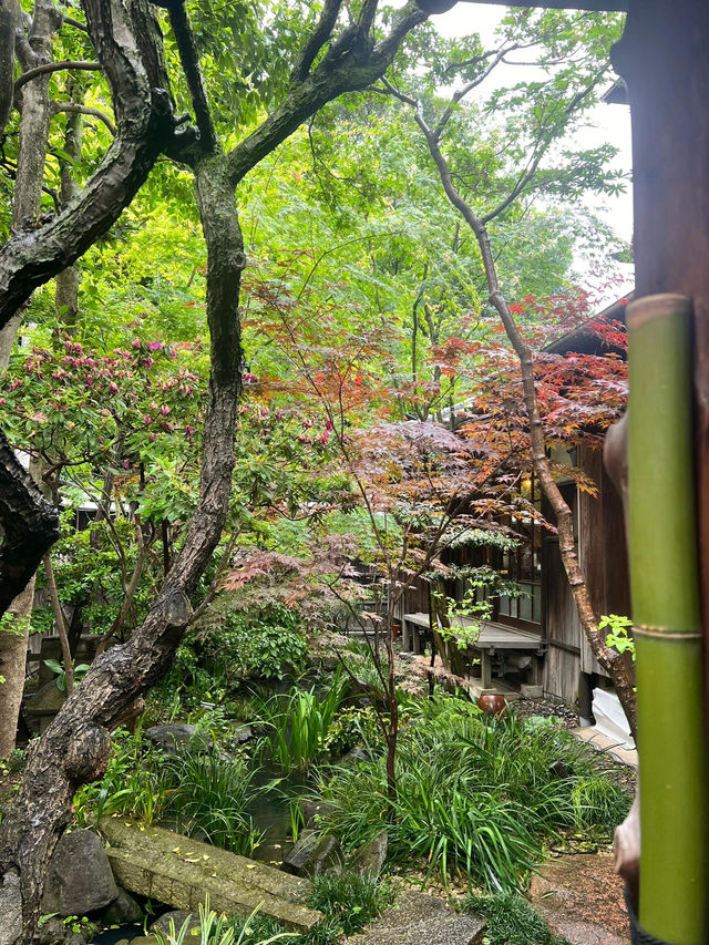大阪素食秘境 | 天王寺古宅中的素味饗宴🥬