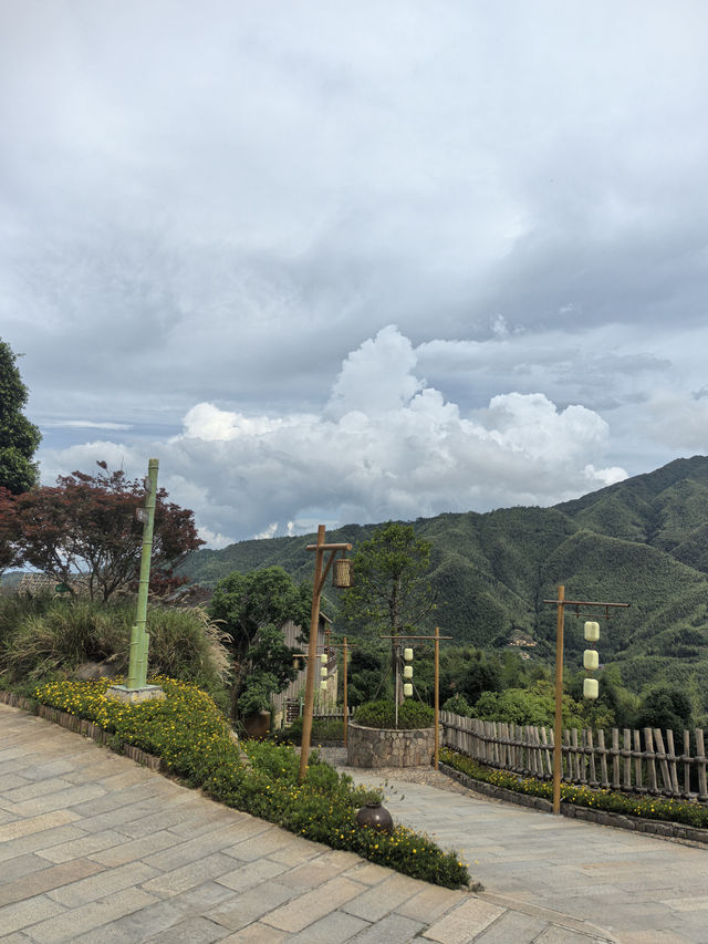 信宜馬安竹海游學攻略