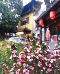 深圳遛娃－甘坑|||說不盡的美