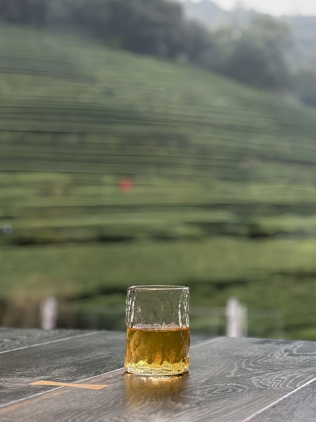 杭州龍塢茶園一日遊，附氛圍感拍照攻略同避坑指南