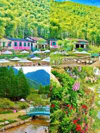 安吉驚現「莫奈花園」！油畫般嘅稻田咖啡，隨手一拍就係大片！