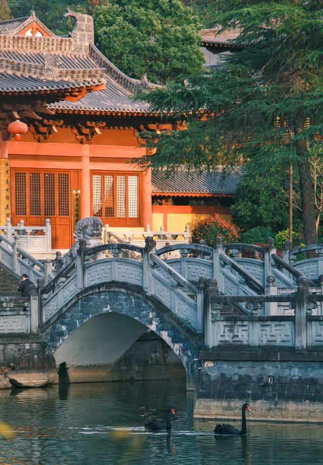 江南佛國秘境：在金華智者寺遇見內心的寧靜
