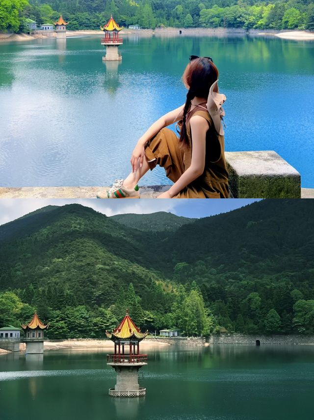 廬山漫遊｜闖入22℃的綠光森林
