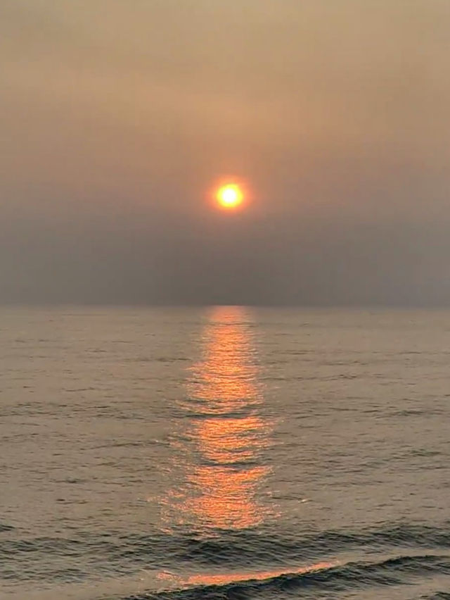 🌅 海洋光譜號上的人生美照➕➕