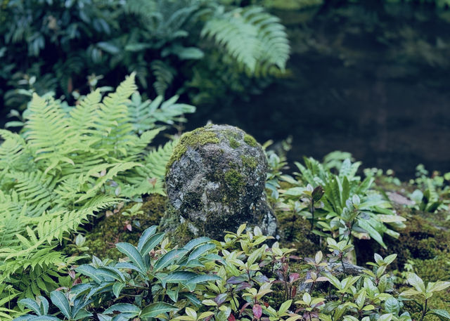 #京都三千院