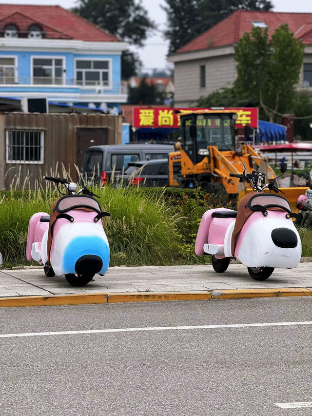 終於有人將煙台旅遊講清楚喇，附攻略！