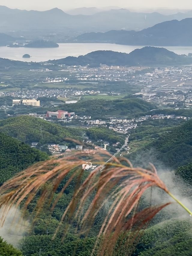 杭州出發半小時 江浙滬天選後花園