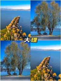 6-8月親子遊·避暑必去嘅4個清涼勝地