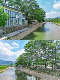 清遠夏日頂流！溪邊露營民宿太正啦