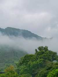 九成廣州人未去過嘅山區公園